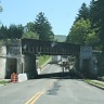 Allegany State Park